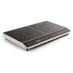 Double Hob Induction Cooker