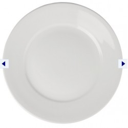Wide Rimmed Plates 11 in