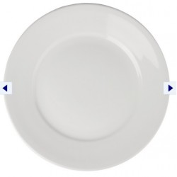Wide Rimmed Plates 11 in