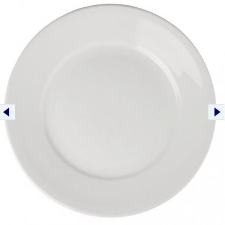 Wide Rimmed Plates 11 in