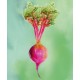 Beetroot Work Top Saver