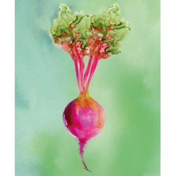 JOSEPH JOSEPH Beetroot Work Top Saver