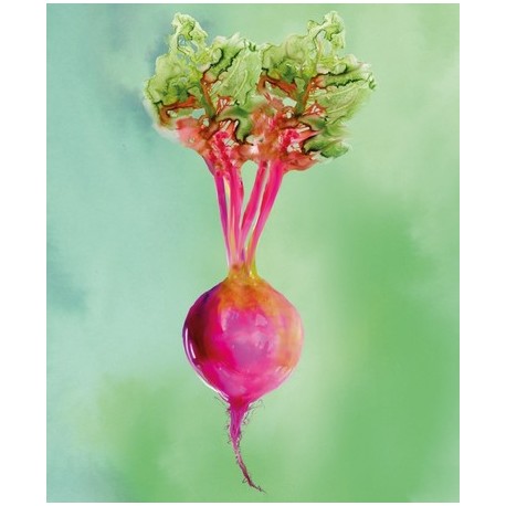 Beetroot Work Top Saver